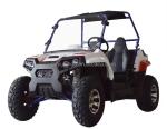 Charge Time of 5-7h 2300mm*1300mm*900mm Approved Engine 1500W 4x4 UTVs Side by