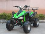ATV 250cc,4-stroke,air-cooled,single cylinder,gasoline electric start