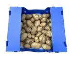 Plastic Turnover Box PP Corrugated Sheet Hollow Fruits And Vegetables Moving