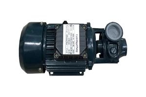 Wholesale Household Electric Motor Water Pump 1HP With Cast Iron Body , 0.75KW Output Power from china suppliers