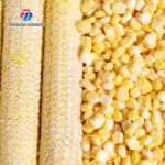 220V/380V Corn threshing equipment large corn thresher corn thresher price large