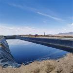 Geomembrane for Aquascape and Swimming Pool Thickness 0.2mm-3mm Length 50m-200m