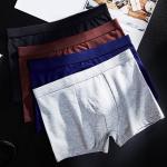 Plus Size Mens Boxer Shorts 2xl 3xl 4xl Moisture Wicking Cotton Classics Top