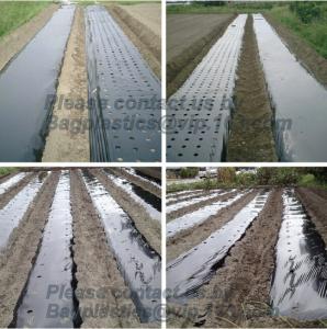 Wholesale agricultural film, pe film, horticultural mulch film, garden perforated ground film,Mulching films, garden film, pe film from china suppliers