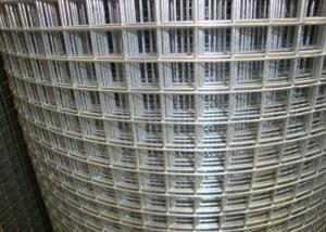 Wholesale White Galvanized Steel 14 Gauge Wire Mesh Roll Straight Edge Type from china suppliers