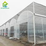 Multi-span Agricultural Poly Tunnel Greenhouse With UV Resistant Plastic