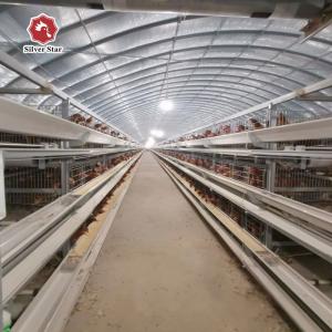 Wholesale 10000 Birds Poultry Farm Automatic H Type Battery Chicken Egg Laying Hen Layer Cage from china suppliers