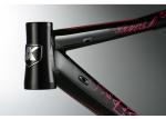 Ladies / Womens Aluminum Bike Frame Internal Cable Routing With 700C Wheels