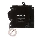 20 Amp AFCI/GFCI Dual Function Circuit Breaker