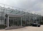 3m - 6m Side Height Agricultural Glass Greenhouse With Cooling Pad Fan System