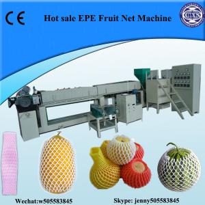 China EPE Foam fruit net extrusion machine from China on sale