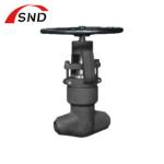 Forged Steel Globe Valve Flange Connection