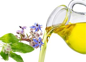 Wholesale Yellow Colored Liquid Organic Borage Oil Cold Pressed Extraction Process from china suppliers