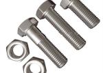 Hexagon Carbon Steel Bolts And Nuts Flange Connection Ductile Iron Fittings