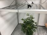 Famous Brand Driver Samsung LM301B 365nm Veg Grow Light