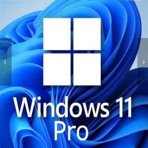 Wholesale Windows 11 Professional 1 User Key For Small Businesses Enhanced from china suppliers