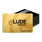 H9 UHF PVC Smart Parking Card with Alien Higgs 9
