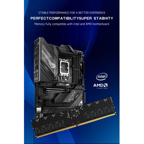LASTINGIN DDR5 RAM 64GB 6000MHz ECC Desktop Memory