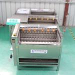 Electric Automatic Carrot Peeling And Washing Potato Peeler Machine Price