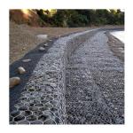 Hot Dipped Galvanized PVC Coated Gabion Wire Mesh for Environmental Protection