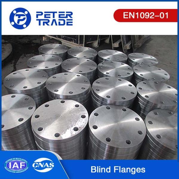 TYPE 05 A105 Carbon Steel Blind Flange EN1092-01 Standards PN10 For Power And