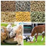 300-400 KG/H Pet Food Pellet Machine With High Productivity Diesel Type Pellet