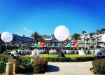 Exhibition Decorative Inflatable Lighting Balloon Lights 220V LED Can Hang