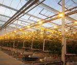 Juxiang Plastic Film Seedling Facility Steel Structure for Convenient Returns