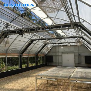 Wholesale Automated Control Greenhouse With Blackout System Light Deprivation ISO9001 from china suppliers