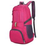 China Supplier Casual Polyester Backpacking Packs