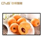 43 Inch Wall Mounted Digital Signage Android HD Intelligent 1920 X 1080