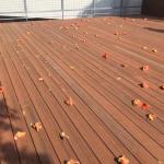 Non Chemical Treatments WPC Co Extrusion Decking Wood Plastic Composite Boards