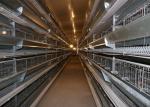 Galvanized Steel Structure Farm Windproof Steel Frame Chicken Coop