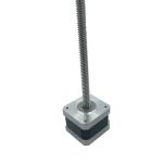 Faradyi Custom Professional Manufacture 42mm High Torque 2.7V 5V 2Phase Gear