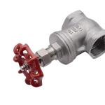 1/2" CF8/CF8m Stainless Steel Thread Ends Gate Valve for Water Treatment