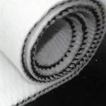 4mm-8mm Thickness HDPE Composite Net Drainage Net at Direct Supply for White