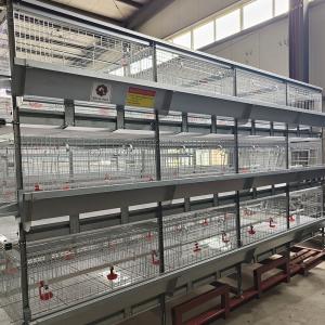 Wholesale 380V 50HZ Automatic Broiler Equipment For Chicken House, SONCAP Certified from china suppliers