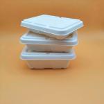 100 Percent Compostable Sugarcane Bagasse Box Clamshell Food Container With Lids