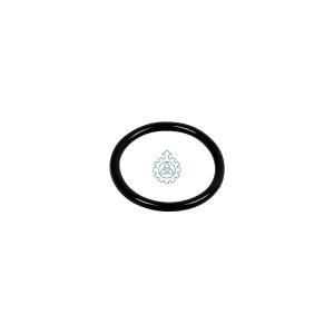 Wholesale O-ring 04895584,17282280 from china suppliers
