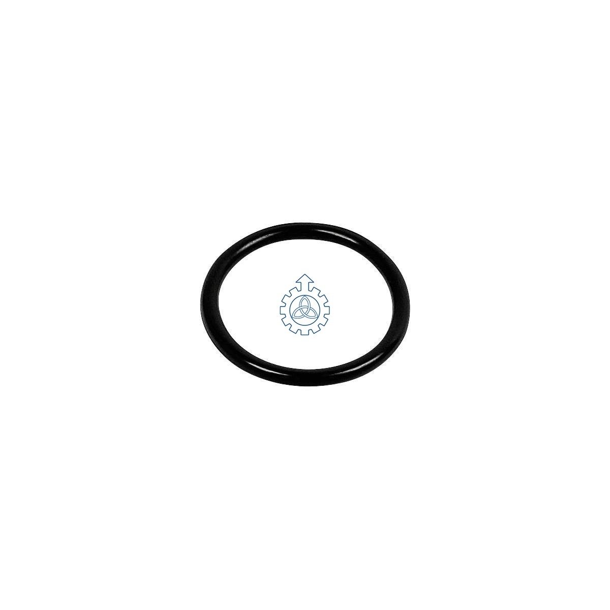 O-ring 04895584,17282280
