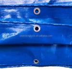2024 PE Tarpaulin Lightweight Tent Material for Outdoor Waterproof Blue Poly
