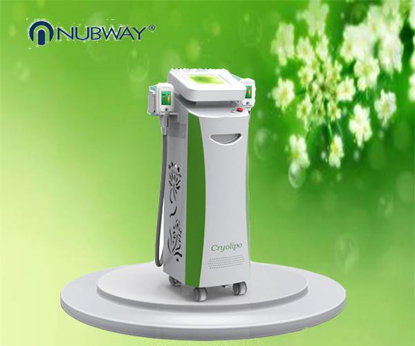effectively fat removal machine 5 heads cryolipolysis body slimming and skin