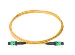 24 Core Singlemode MTP MPO Fiber Cable IEEE Standard Custom Length