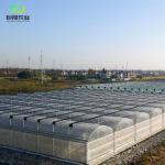 PE Roof Greenhouse for Vegetable Tomato Cucumber Straberry Versatile and