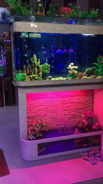 Quality water trickling series aquarium, fish tank, custom made according to your sizes, factory price, factory lead time, for sale