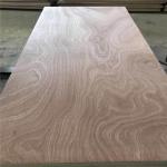 Glue E0 WBP Moisture 12% Sapele Veneer Plywood