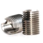 Flange Slotted Self Tapping Thread Insert Stainless Steel Types