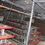 4 Tiers Poultry Farm Egg Layer Battery Chicken Cage With Automatic Nipple
