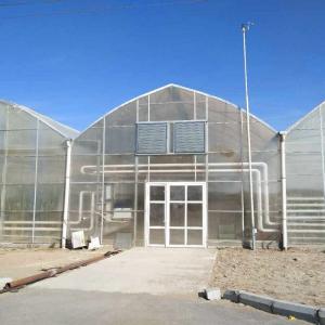 Wholesale 12x20 12 X 8 12 X 6  Polycarbonate Greenhouse With Cooling System And Heating System Roof Film Side from china suppliers