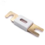 32V 80V Car Automotive Auto Forklift Ceramic ANL Fuse
